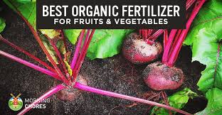 Lawns and gardens add joy, beauty and comfort to our lives. 6 Best Organic Fertilizer For Fruits And Vegetables Reviews