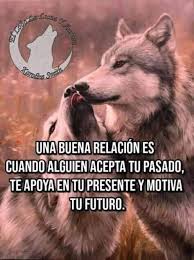 Pin De Centrodeacopiopetecuy En Lobos Frases Frases Tiernas Frases Tiernas De Amor Frases De Lobos
