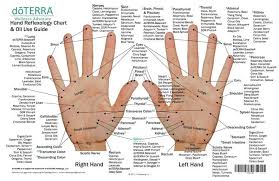 10 Pack Mini Essential Oil Reflexology Chart Oil Use Guide Etsy Reflexology Chart Reflexology Reflexology Foot Chart