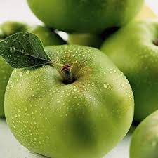 We did not find results for: Bramley Apple Patio Fruit Tree Bare Root 1 2m Tall