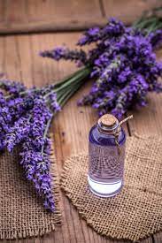 Aromatherapy Oil Stock Photo Containing Oil And Essential Lavender Spa Lavender Plant Lavender Aesthetic