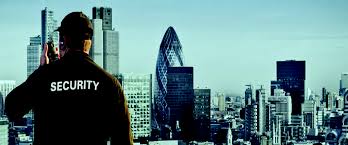 Lumiere Security Services | providing all kinds of security services