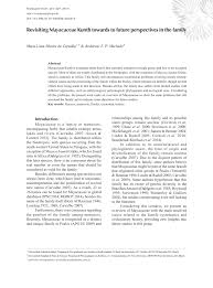 Image result for Mayaca baumii