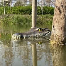 Get it as soon as fri, jul 30. Flytec Simulation Alligator Head Joke Rc Boat Electric Crocodile Remote Control Speed Boat Toys For Sale Buy Remote Control Boat Crocodile Boat Speed Boat Product On Alibaba Com