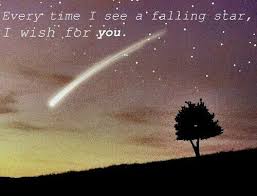 Everytime I See A Falling Star I Wish For You My Wish For You Falling Stars Wishes For You