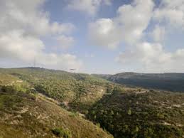 المملكة المتحدة ، الولايات المتحدة ، سويسرا ، الصين. Ø³ÙˆÙŠØ³Ø±Ø§ Ø§Ù„ØµØºØ±Ù‰