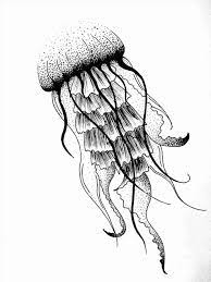 Check spelling or type a new query. Trippy Jellyfish Drawing Easy Novocom Top