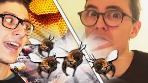 LA NUOVA CASA DI SURRY!! MANGIARE VERMI E API AL BACON ??