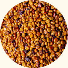 Image result for Calopogonium mucunoides