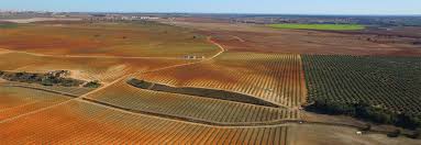 Centered on the alqueva reservoir, europe's largest strategic water reserve, with a total capacity of 4150 million cubic meters, alqueva multipurpose project has a size, scope and modernity of. The Territory Edia S A