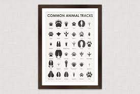 Schau dir unsere auswahl an tierspuren an, um die. Animal Tracks Iris Luckhaus Illustration Design