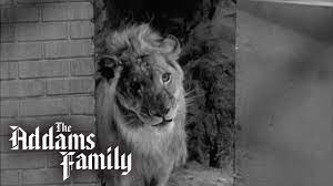 Kitty Kat Gets A Visit From A Vet | The Addams Family - YouTube