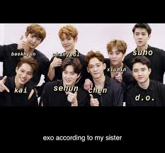 Exo According To My Sister Exo Exo Members Kpop Exo