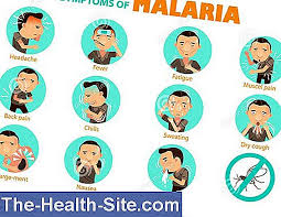Din păcate, nu există nici un vaccin eficient pentru malarie. Malariei RecunoaÈ™teÈ›i Simptomele È™tiinÈ›ifico Practic Medical Journal 2021