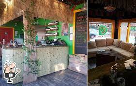 Noble Kava In Knoxville Restaurant Reviews