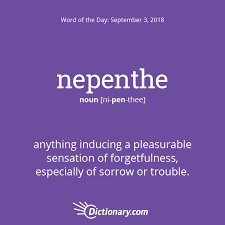 Word Of The Day Nepenthe Dictionary Com Words Uncommon Words Dictionary Words