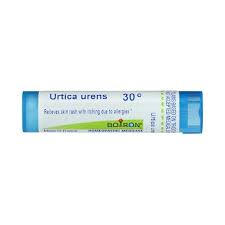 Image result for Urtica urens