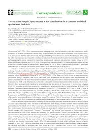 Image result for Vincetoxicum stenolobum