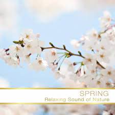 Oltre 571.000 vettori, foto stock e file psd. Fiori Bianchi By Fly Project On Amazon Music Amazon Com