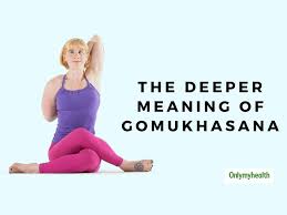 International Yoga Day 2020 How To Do Gomukhasana Cow Face Pose With Right Technique And Posture