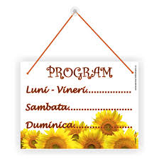 Dedeman Indicator Informare Program Lucru Pvc 20 X 15 Cm Dedicat Planurilor Tale