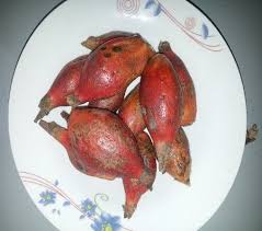 Image result for Aframomum alboviolaceum