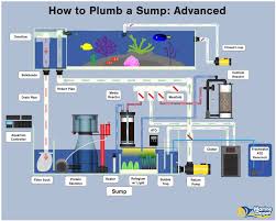 How To Plumb A Sump Basic Intermediate And Advanced Marine Depot Blog Saltwater Aquarium Setup Aquarium Sump Saltwater Fish Tanks