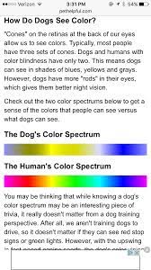 Colors That Dogs See Mean Dog The Retina Color Blind