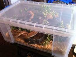 Tub Vs Tank Best Of Both Worlds Experiment Reptile Room Snake Enclosure Snake Terrarium
