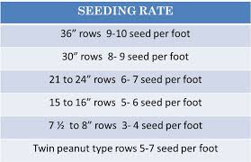 Soybean Planting Plantation Seed Update
