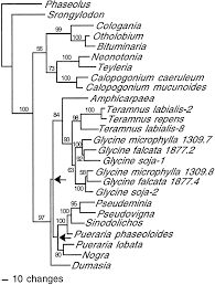 Image result for Teramnus repens