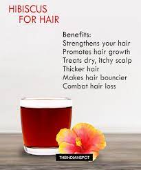 Hibiscus consists of vitamin c so it stops the hair loss,graying of hair.take some hibiscus leaves and flowers and dry it without keeping on the sunlight and then powder it.mix this powder in water and apply it on the scalp,it gives proteins. Benefits And Uses Of Hibiscus For Hair