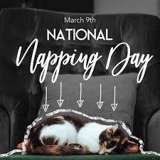 Happy National Napping Day Every Day Is A Nap Day For Me Lol In 2020 National Nap Day Avon Representative Avon Rep