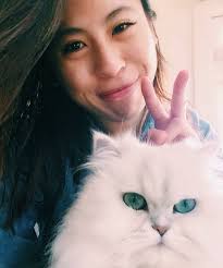 Fur flies in second cat-nap quarrel