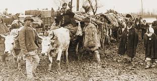 Asta este, pacientii cu febra tifoida pot contamina de alimentare cu apa, cu scaun lor, in cazul in care bacteriile infloreasca. 300 000 De Civili Romani MorÈ›i La Retragerea In Moldova Din 1916 Romania Libera