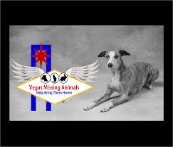 This location offers grooming, petshotel, doggie day camp, training, adoptions, veterinary and curbside pickup. Lost Pets Vegas Animal Rescue