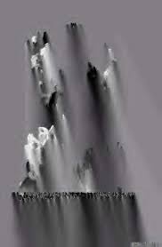 Image result for Eggelingia clavata