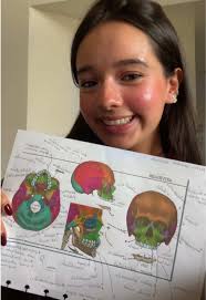 Forâmes do crânio 🤍 #odontologia #cranio #estudante