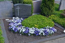 Maybe you would like to learn more about one of these? Blumen Gertzmann Grabpflege