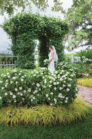 Jubilation Gardenia Small Front Gardens Wildflower Garden Garden Landscape Design