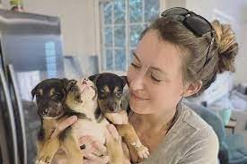 Pet beim führenden marktplatz für gebrauchtmaschinen kaufen. Dover Native Helps Stray Dogs From Guam Find New Homes In Nh