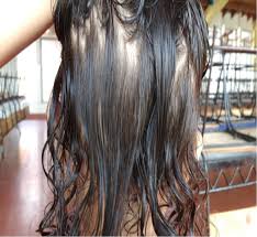 Blonde hair color is a commitment. Prevalence Incidence Clinical Manifestations And Factors Associated With Pediculosis Capitis In Nursery School Children Of A Lowincome Area From Colombia