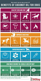 Hundetraining Unterrichten Sie Ihren Hund Hundelernen Hundetipps Hundehacks Dogdrawing Dog Training Hunde Bilder Kokosnussol Fur Hunde Kokosol Fur Hunde Hundehaltung