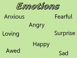 What Are Primary And Secondary Emotions Betterhelp
