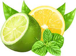 0 10a89a F50c28b1 Orig 5000 3692 Lime Vector Lemon Pictures Lime Pictures