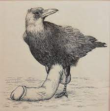 NSFW) Crow with human penis, Me, fineliner, 2020 : r/Art