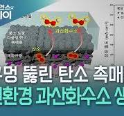 구멍 뚫린 탄소 촉매로 친환경 과산화수소 생산한다! / YTN 사이언스