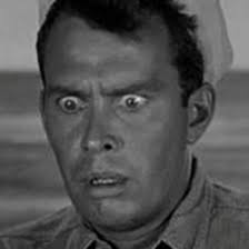 triptidon's collection