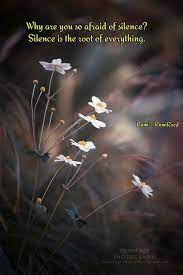 Photographing flowers celebrates the beauty of plants and is an effective way to get better at various photography skills. Pin By Ya Cor On Rumi Quotes2 Nature Photography Flowers Photography Beautiful Nature Wallpaper