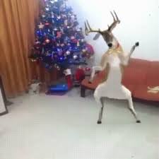 Gif Dancing Christmas Eve Animated Gif On Gifer By Umndis